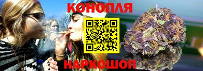 mdma Гатчина
