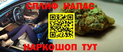 mdma Гатчина